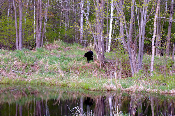 In Our Neighborhood/