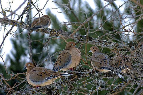 In Our Neighborhood/