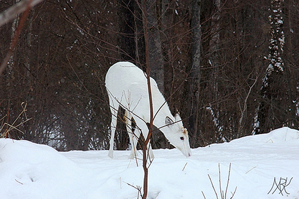 In Our Neighborhood/