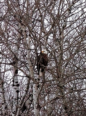 In Our Neighborhood/