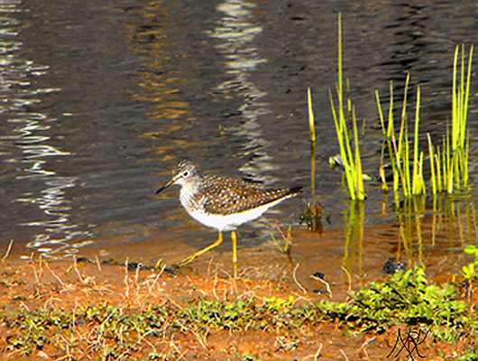 In Our Neighborhood/