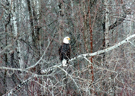 In Our Neighborhood/