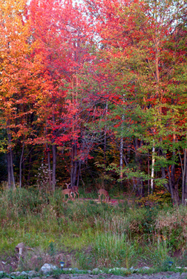 In Our Neighborhood/