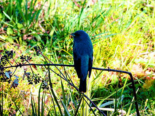 In Our Neighborhood/