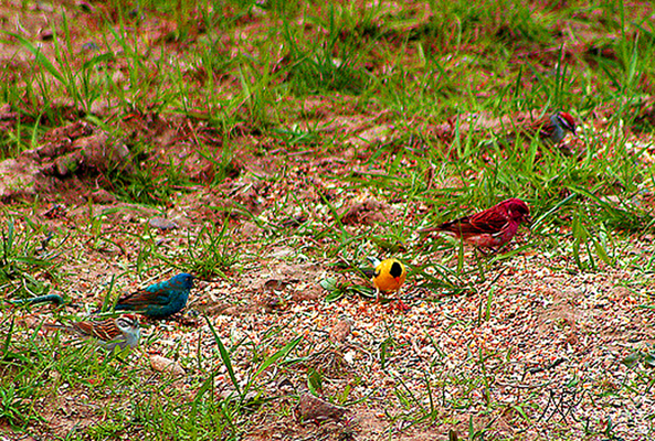 In Our Neighborhood/