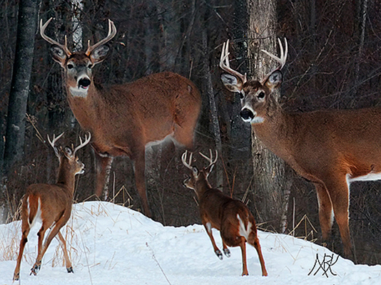 In Our Neighborhood/