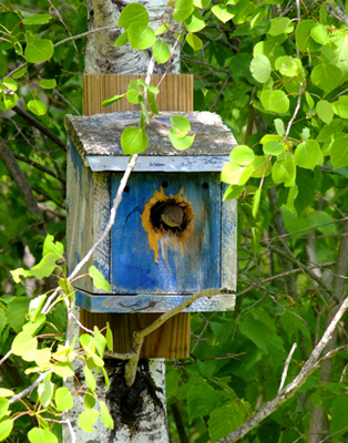 In Our Neighborhood/