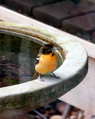 In Our Neighborhood/